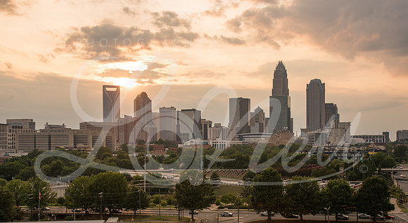 Charlotte Dusk