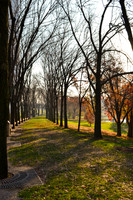 Walk in the park