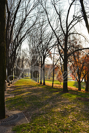 Walk in the park